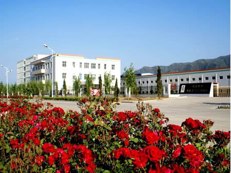 德州旺旺集團(tuán)